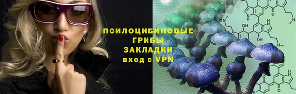 прущая мука Гусев