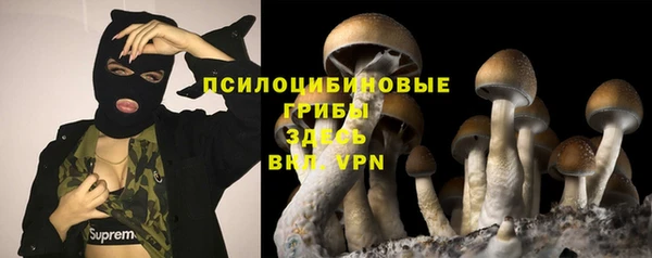 прущая мука Гусев