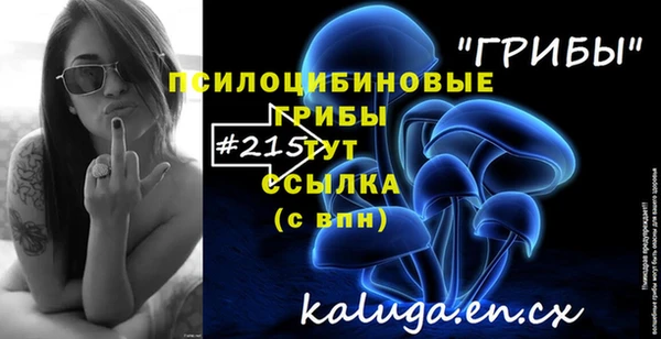 бошки Гусиноозёрск