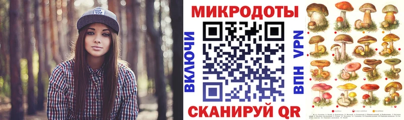 Купить закладки  Свирск  Галлюциногенные грибы мицелий 