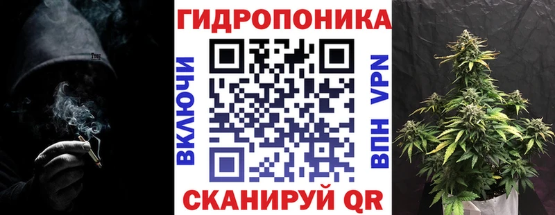Купить  Свирск  Бошки Шишки OG Kush 